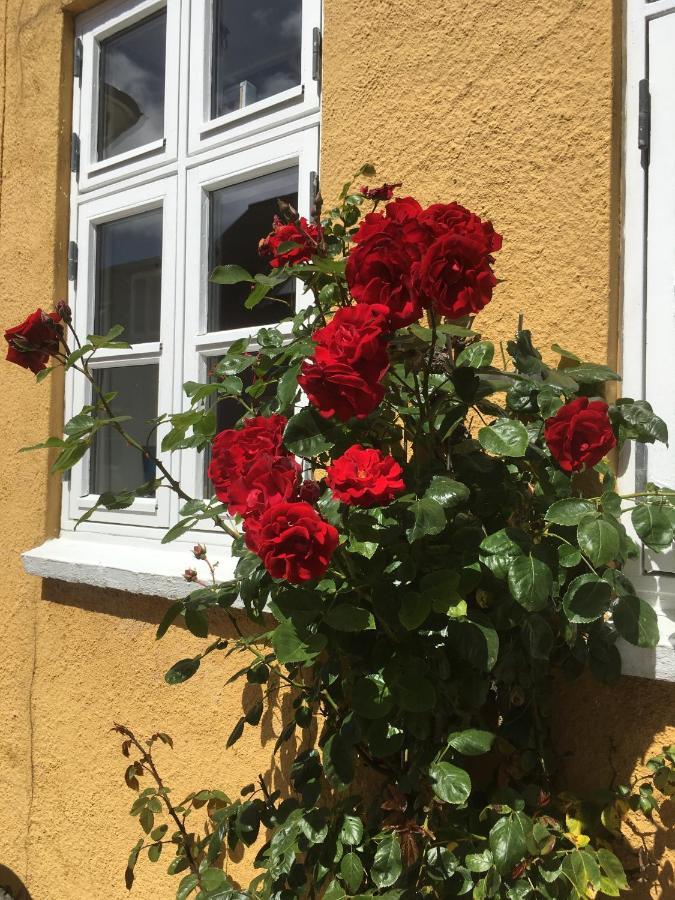 Jan Og Inges Bed & Breakfast Middelfart Extérieur photo